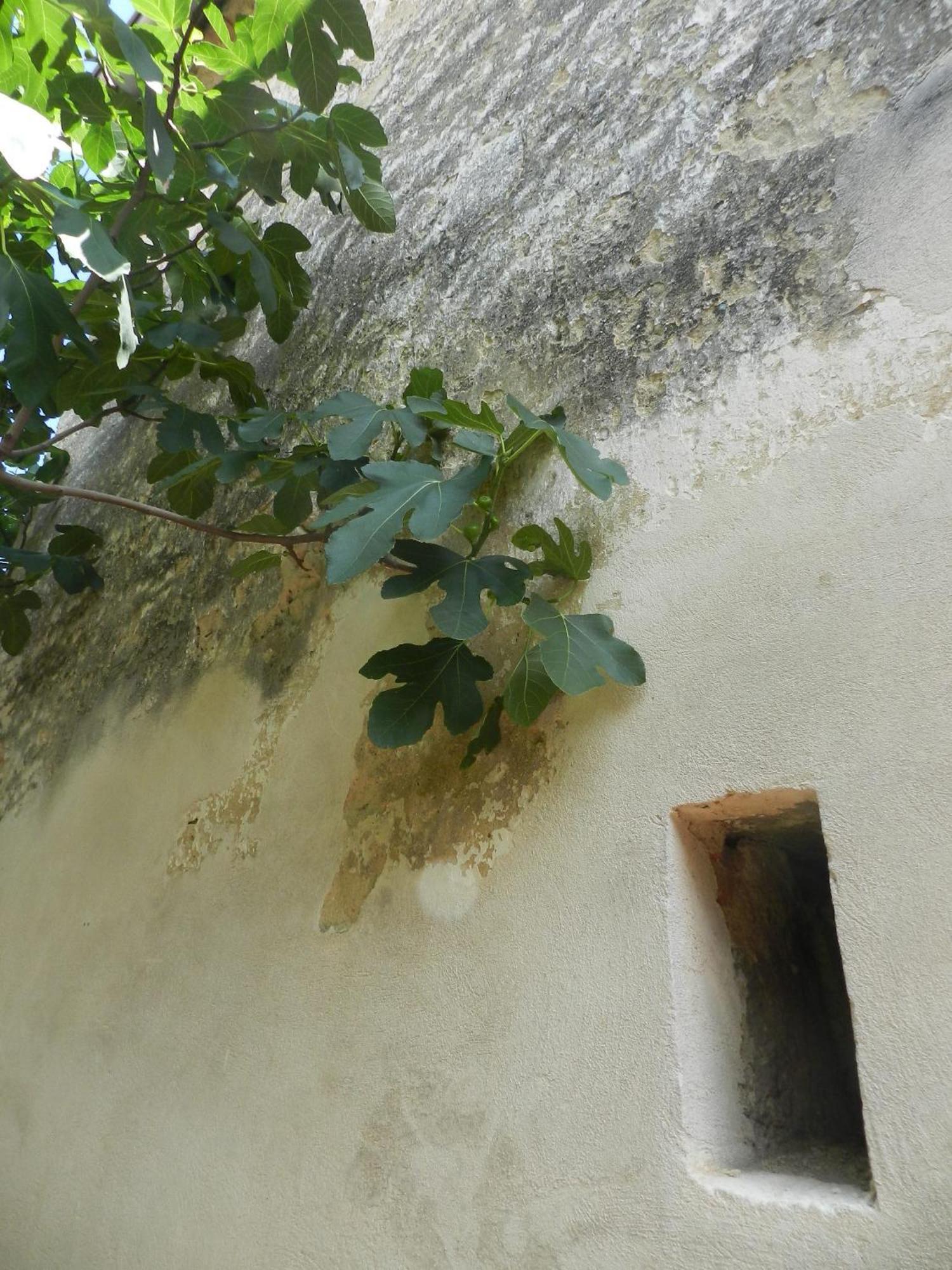 Apartment Casa.peiso *